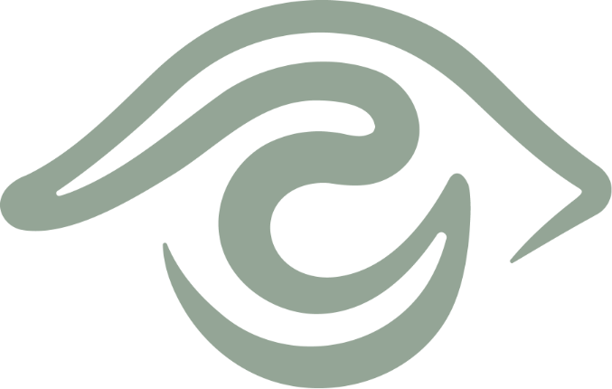 Logo icon Visionaries Eye Specialists | Dr Nick Toalster | Brisbane